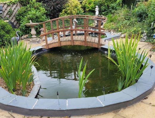 Cambridge pond cleaning service