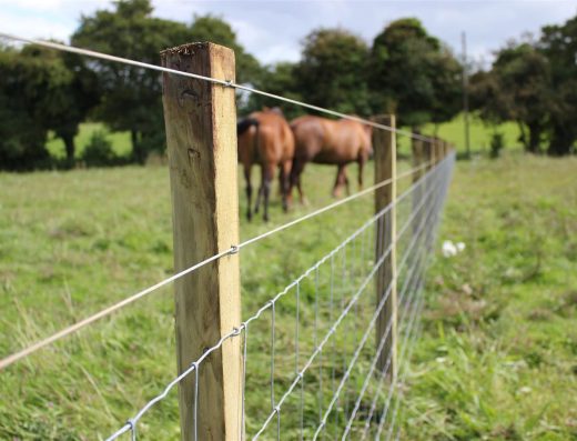 Trentwood Fencing Ltd