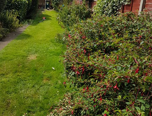 Lawn Ranger Gardening