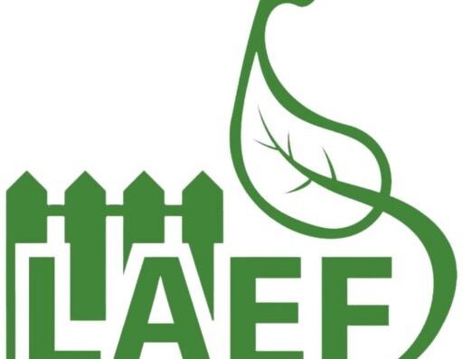 London And Essex Fencing | Fencing | Landscaping