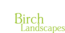 Birch Landscapes